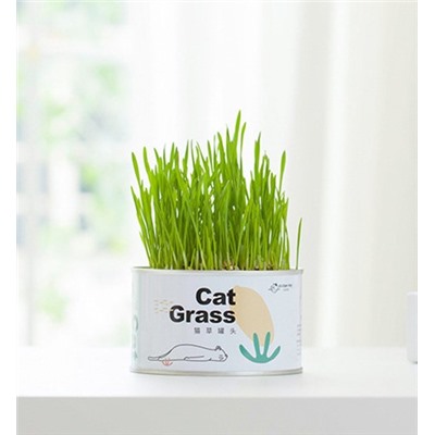 Консервированная трава для кошек Cat Grass