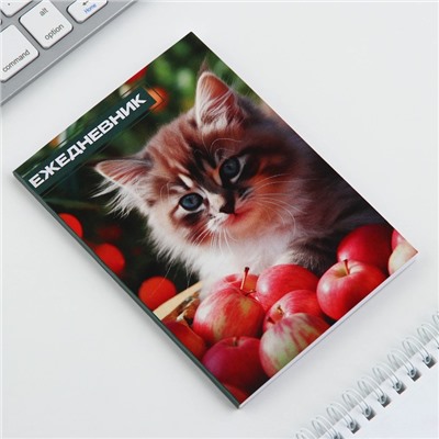 Ежедневник в тонкой обложке А6, 52 листа «Кошка»