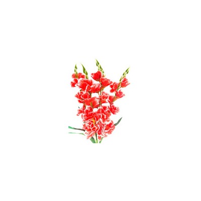 Букет искусственных цветов гладиолус красный 70 см 5 веток к8