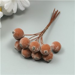 Декор для творчества "Ягодка рябины" 1 букет=10 ягод коричневый иней 10х1,5 см