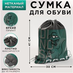 Сумка для обуви «Динозавр», 41х30х0,5 см