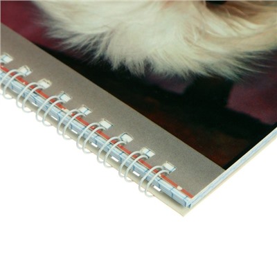 Блокнот А5, 40 листов на гребне "Собаки", обложка ламинированный картон, блок 55 г/м2, МИКС