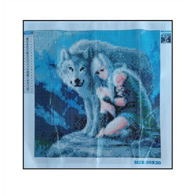 Алмазная мозаика картина стразами Девушка с волком, 30х30 см