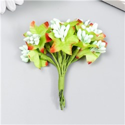 Цветы для декорирования "Паслен жасминовидный" 1 букет=10 цветов мятный 9,5 см