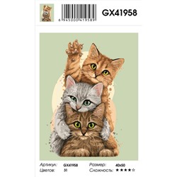 Картина по номерам на подрамнике GX41958