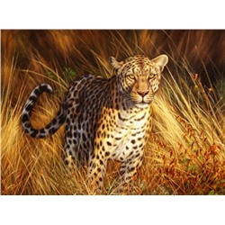 Алмазная мозаика картина стразами Дальневосточный леопард, 50х65 см