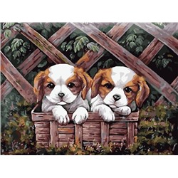 Алмазная мозаика картина стразами Два щенка в деревянном ящике, 30х40 см