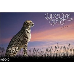 Фотофреска fo5040