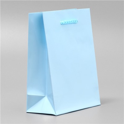 Пакет ламинированный «Голубой», S 12 х 15 х 5.5 см