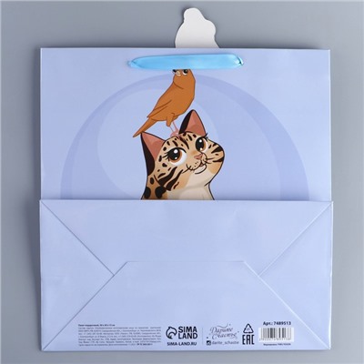 Пакет подарочный «Кот», 30 × 30 × 15 см