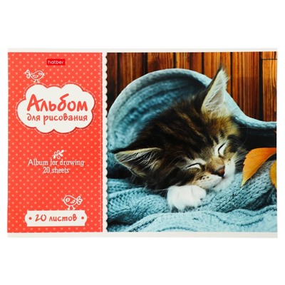 Альбом для рисования А4, 20 листов на скрепке "Котята", обложка мелованный картон, блок 100 г/м2