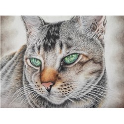 Алмазная мозаика картина стразами Европейская кошка, 40х50 см