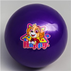 Мяч детский Paw Patrol «Happy», 16 см, 50 г, цвета МИКС