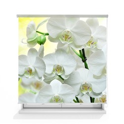Рулонная штора ролло лен "Белая орхидея"  (d-200203-gr)