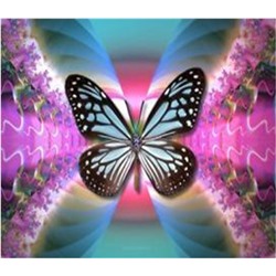 Алмазная мозаика картина стразами Бабочка, 40х50 см