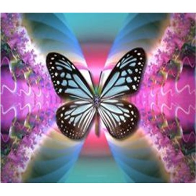 Алмазная мозаика картина стразами Бабочка, 40х50 см