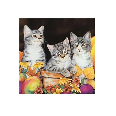 Алмазная мозаика картина стразами Три котёнка, 30х30 см