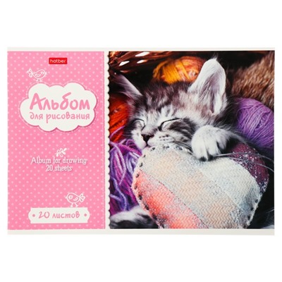 Альбом для рисования А4, 20 листов на скрепке "Котята", обложка мелованный картон, блок 100 г/м2
