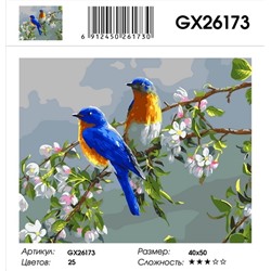 Картина по номерам на  подрамнике GX26173