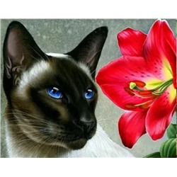 Алмазная мозаика картина стразами Сиамская кошка, 30х40 см