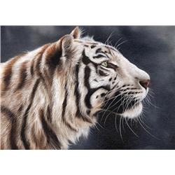 Алмазная мозаика картина стразами Тигр, 30х40 см