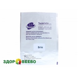 Закваска для сыра Бри (Brie) на 50 литров (Tecnolatte) Артикул: 757