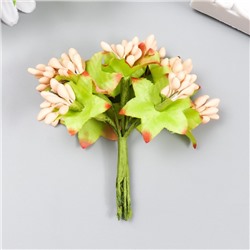 Цветы для декорирования "Паслен жасминовидный" 1 букет=10 цветов персиковый 9,5 см