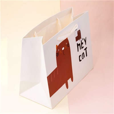 Подарочный пакет(M) "Kitty", hey cat face