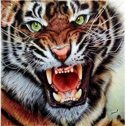 Алмазная мозаика картина стразами Рычащий тигр, 40х50 см