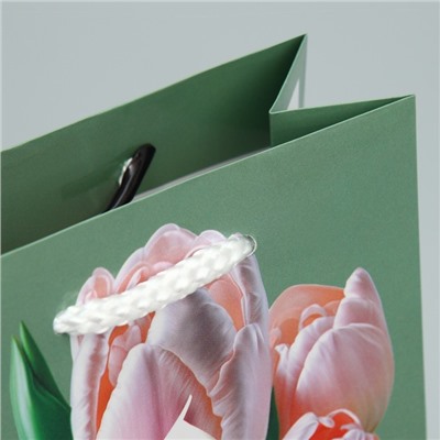 Пакет ламинированный «Тюльпаны», S 12 х 15 х 5.5 см