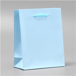 Пакет ламинированный «Голубой», S 12 х 15 х 5.5 см
