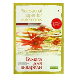 Папка для акварели А4, 8 листов "Профессиональная серия", блок 200 г/м2, МИКС