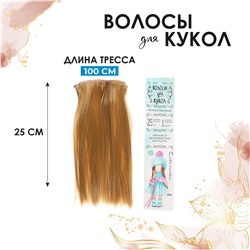 Волосы - тресс для кукол "Прямые" длина волос 25 см, ширина 100 см, цвет № 27