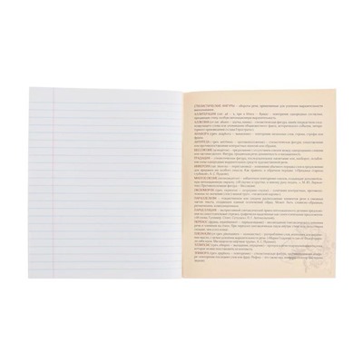 Тетрадь предметная "Доска", 48 листов в линейку "Литература", обложка мелованный картон, блок офсет