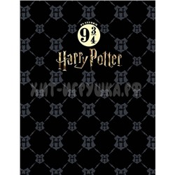 Тетрадь 160 л. А5 на кольцах Гарри Поттер Хатбер 160ТК5В1_23355, 160ТК5В1_23355