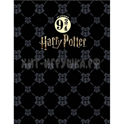 Тетрадь 160 л. А5 на кольцах Гарри Поттер Хатбер 160ТК5В1_23355, 160ТК5В1_23355
