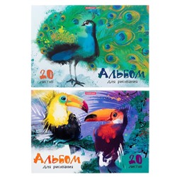 Альбом для рисования А4, 20 листов, на клею, Erich Krause "Птицы жарких стран", обложка мелованный картон, жёсткая подложка, блок 120 г/м2