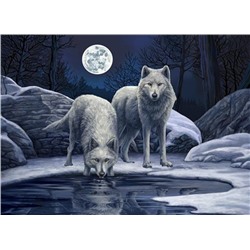 Алмазная мозаика картина стразами Два белых волка, 50х65 см