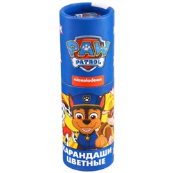 Карандаши цветные пластиковые в тубусе МИНИ, 12 цветов, Paw Patrol