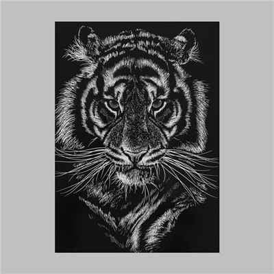 Термотрансфер «Портрет тигра», 22 × 28 см