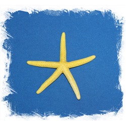 Желтая морская звезда Фингер
