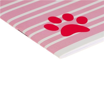 Альбом для рисования A4, 16 листов на скрепке "Рыжий котя", обложка мелованный картон, блок 100 г/м²
