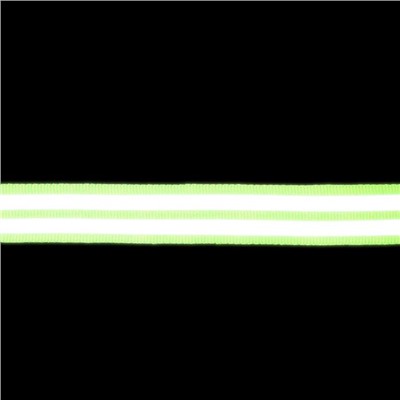 Светоотражающая лента-стропа, 20 мм, 5 ± 1 м, 2 полосы, цвет салатовый