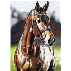 Алмазная мозаика картина стразами Конь в уздечке, 30х40 см