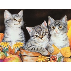 Алмазная мозаика картина стразами Три котёнка, 30х40 см