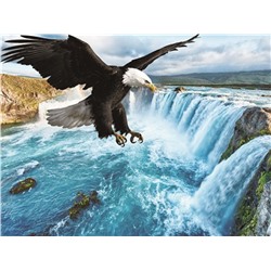 Алмазная мозаика картина стразами Летящий орёл, 30х40 см
