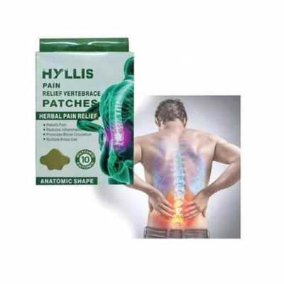 Пластырь травяной натуральный обезболивающий для спины и поясницы HYLLIS 10 шт оптом