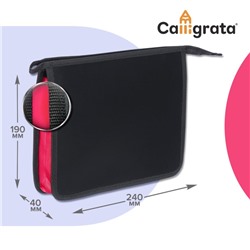 Папка пластиковая А5, 240 х 190 х 40 мм, молния сверху, Calligrata, "Офис", фуксия