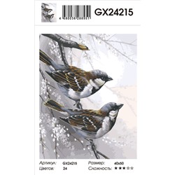 Картина по номерам на  подрамнике GX24215