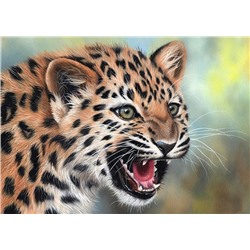 Алмазная мозаика картина стразами Рычащий леопард, 30х40 см